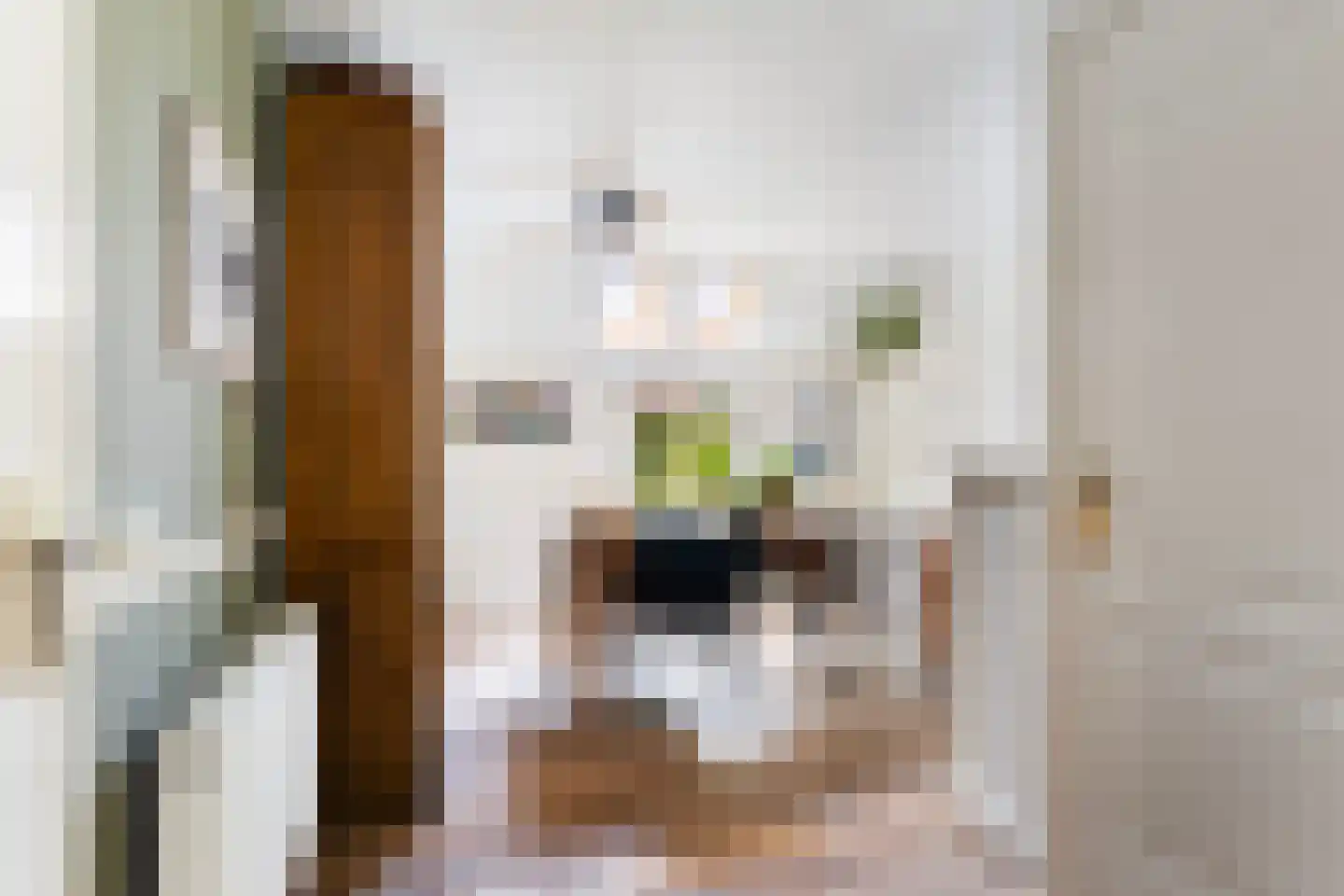 Bumawei 7 Westergeast thumbnail 18