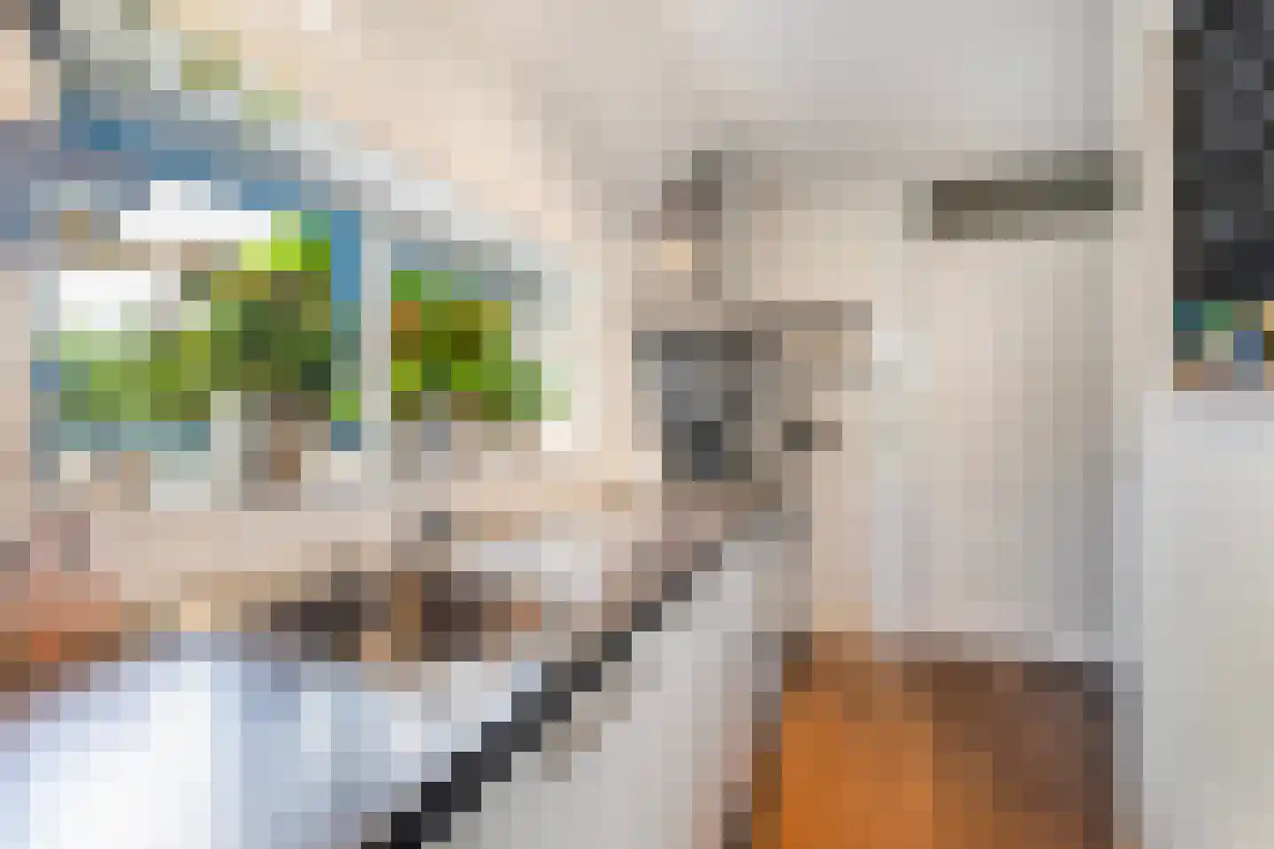 Bumawei 7 Westergeast thumbnail 19