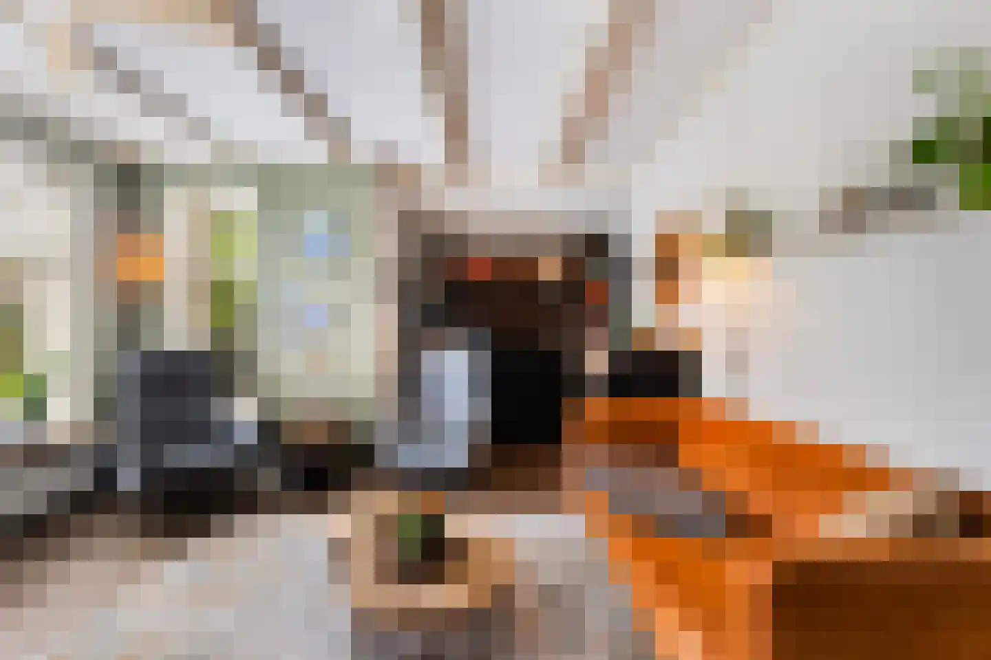 Bumawei 7 Westergeast thumbnail 22