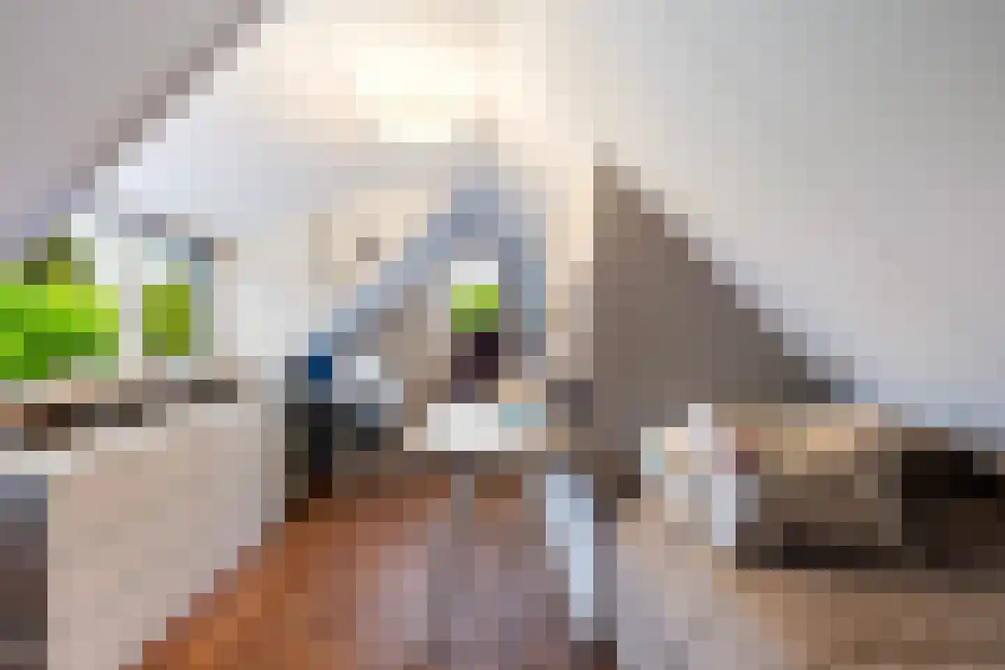 Bumawei 7 Westergeast thumbnail 39