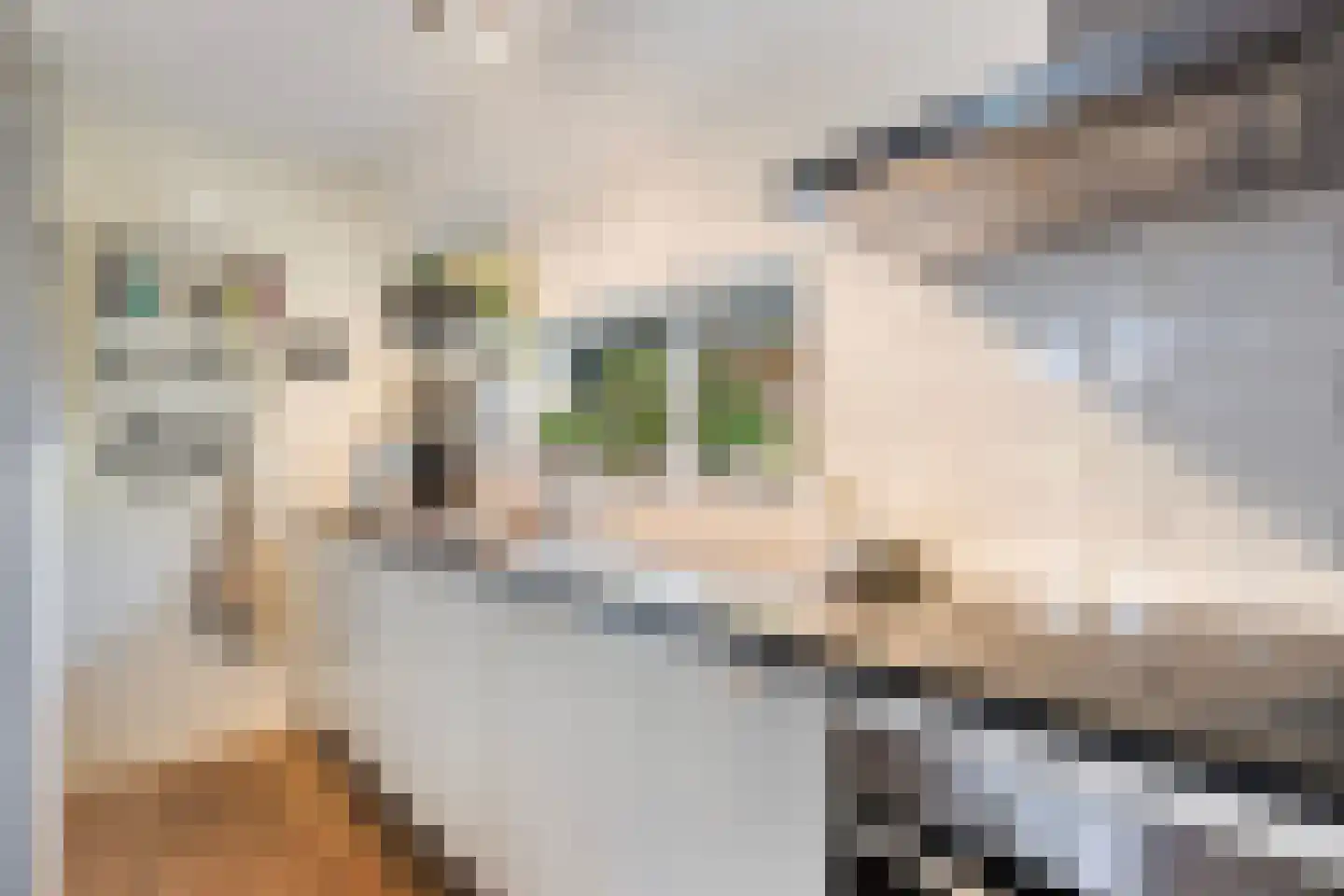 Bumawei 7 Westergeast thumbnail 4
