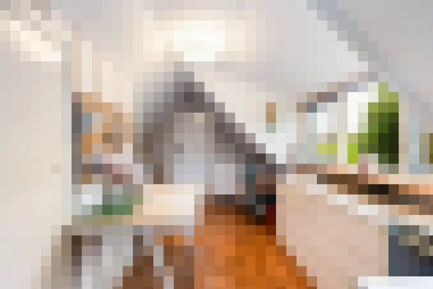 Bumawei 7 Westergeast thumbnail 40