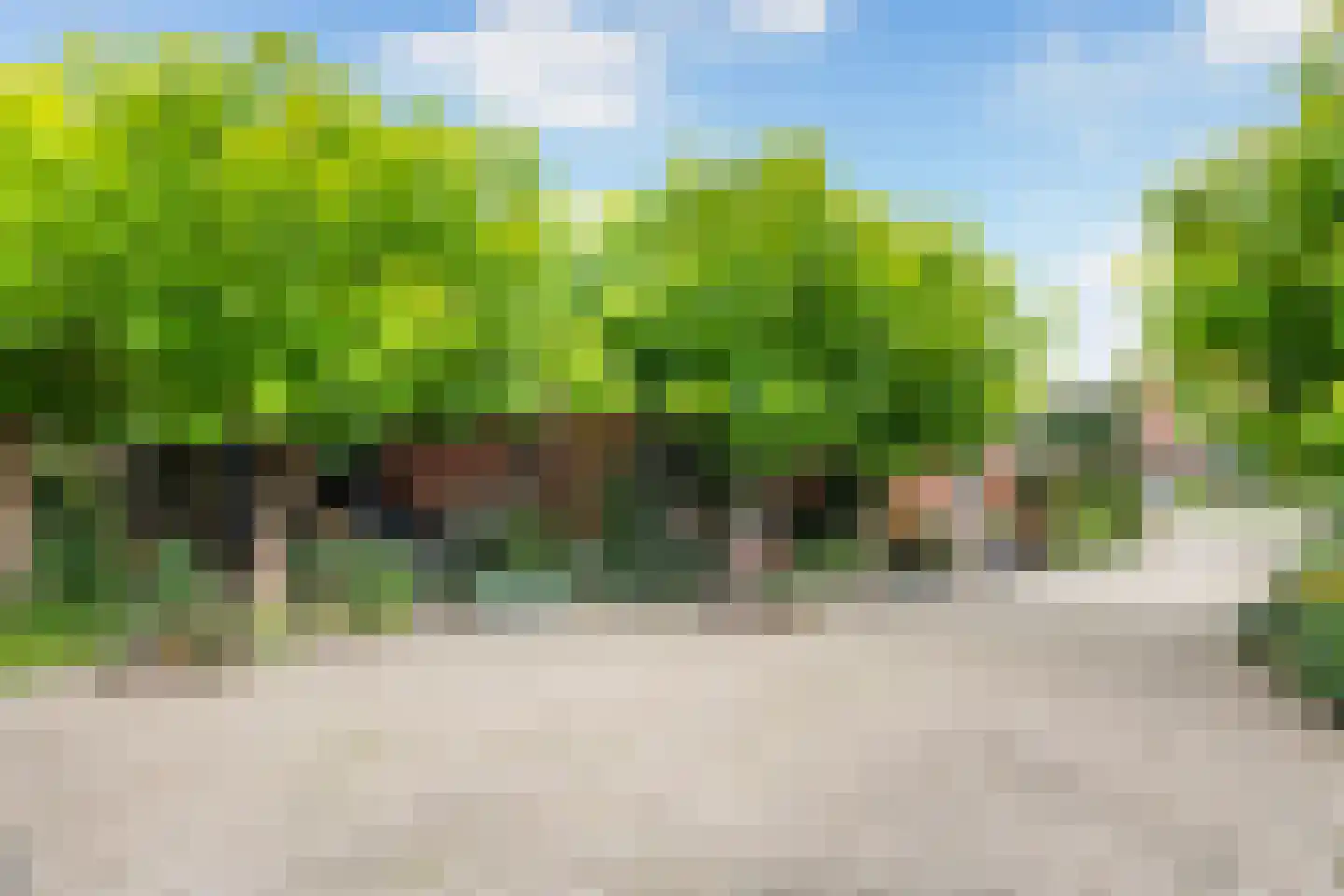 Bumawei 7 Westergeast thumbnail 45