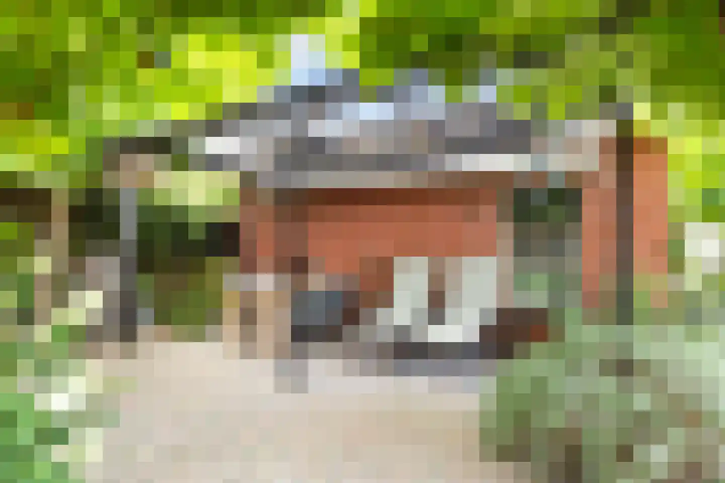 Bumawei 7 Westergeast thumbnail 46