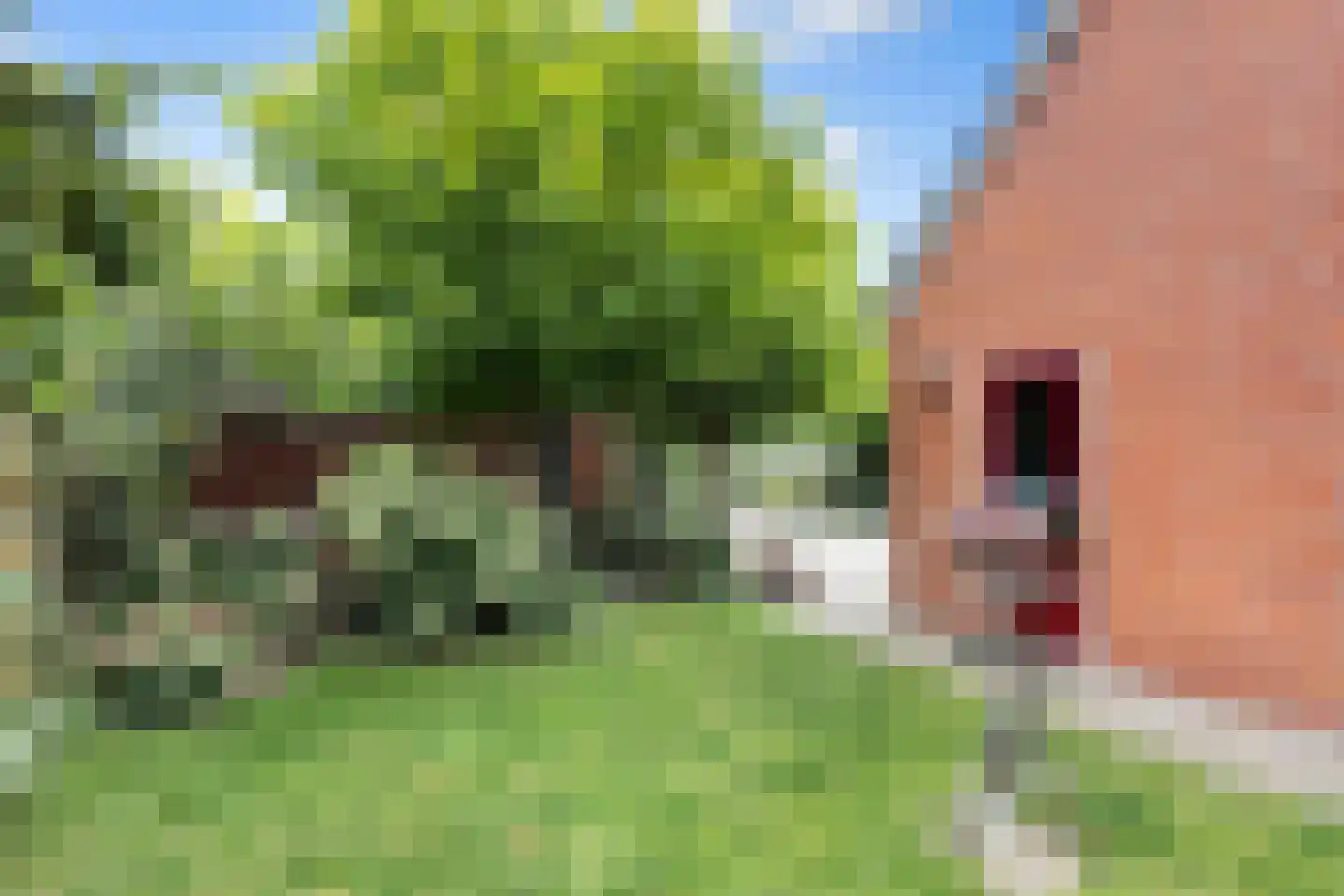Bumawei 7 Westergeast thumbnail 49