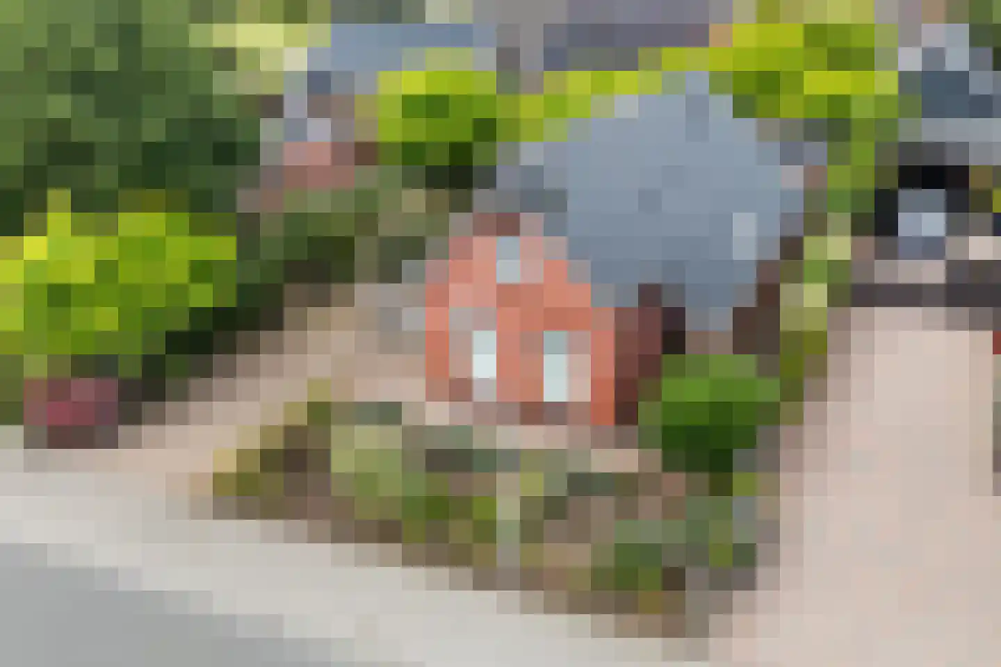 Bumawei 7 Westergeast thumbnail 50