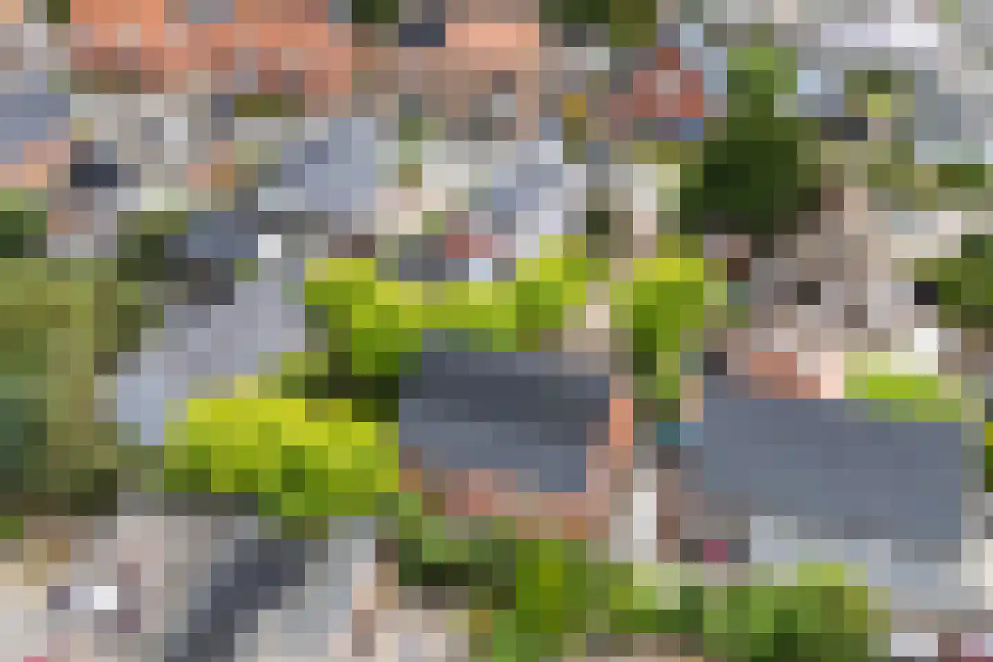 Bumawei 7 Westergeast thumbnail 51