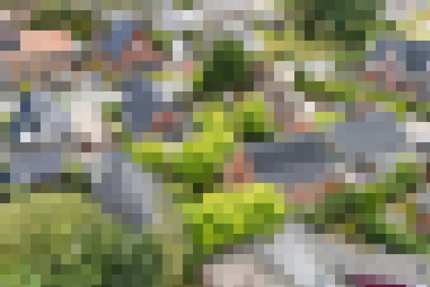 Bumawei 7 Westergeast thumbnail 52