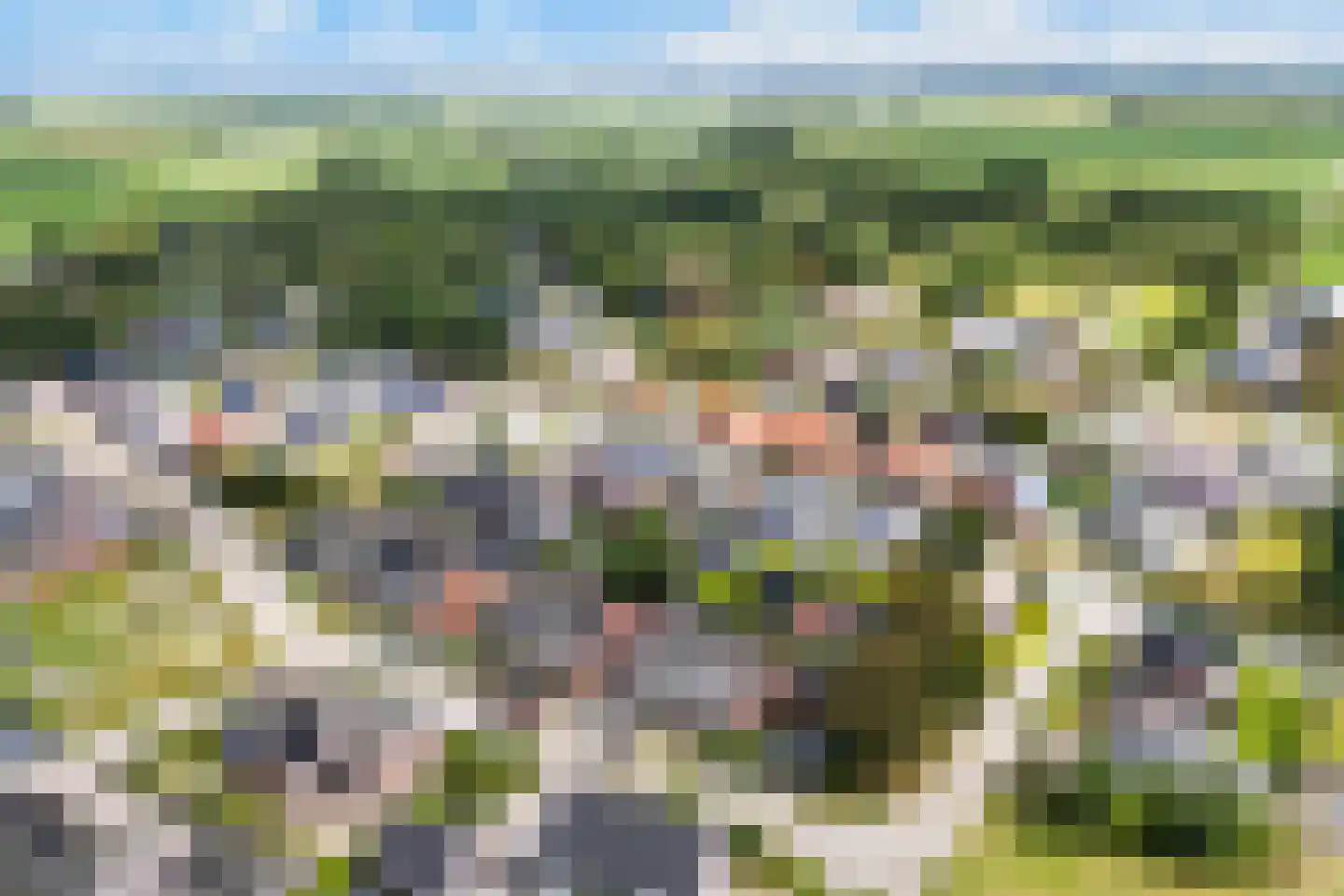 Bumawei 7 Westergeast thumbnail 53