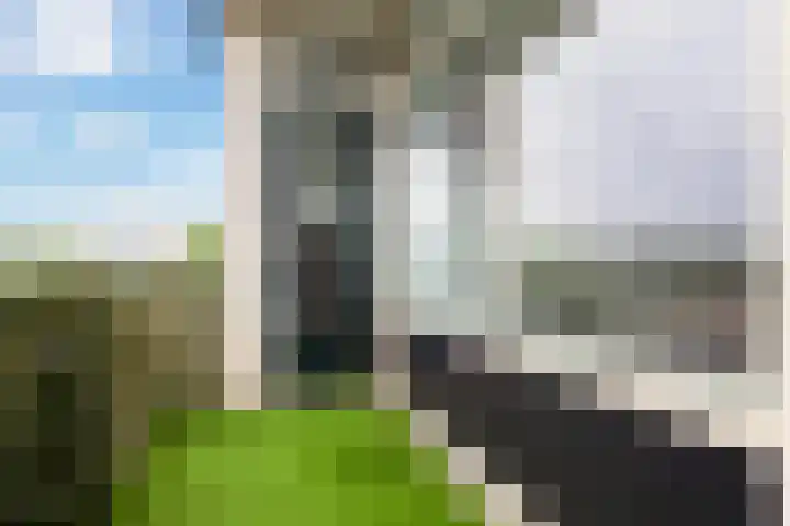 Bunchestraat 22 Reeuwijk thumbnail 25