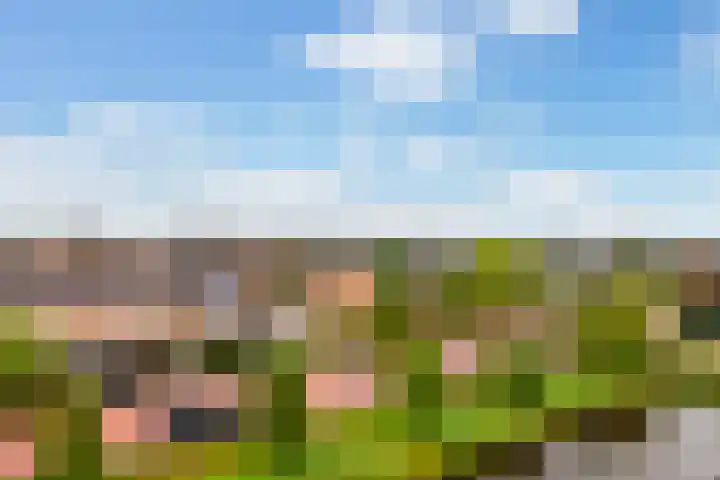 Bunchestraat 22 Reeuwijk thumbnail 27
