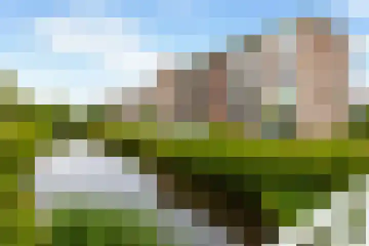 Bunchestraat 22 Reeuwijk thumbnail 32