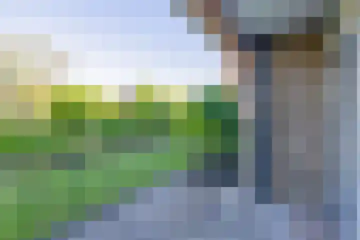 Bunchestraat 35 Reeuwijk thumbnail 17