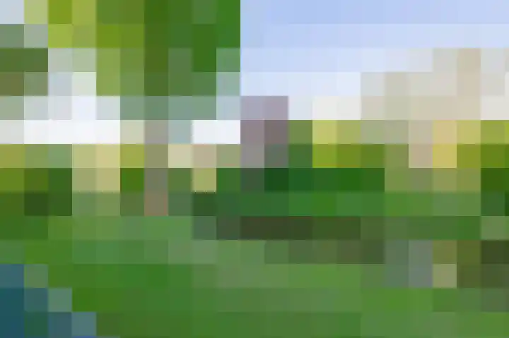 Bunchestraat 35 Reeuwijk thumbnail 18