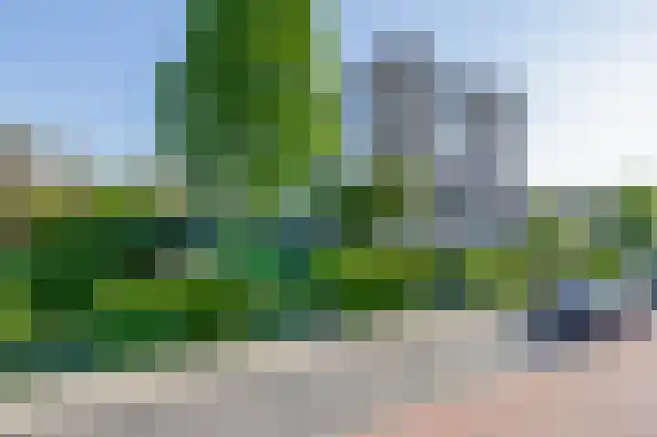 Bunchestraat 35 Reeuwijk thumbnail 21