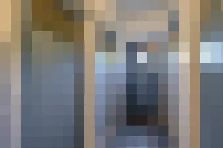 Bunchestraat 35 Reeuwijk thumbnail 22