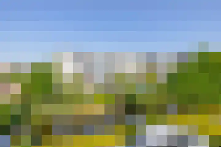 Bunchestraat 35 Reeuwijk thumbnail 7