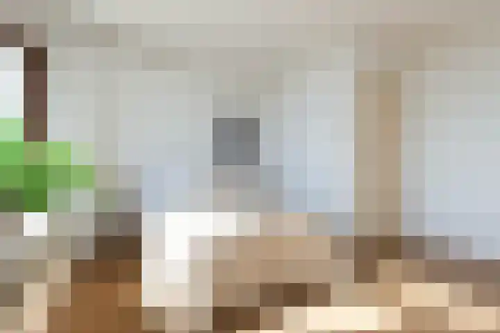 Bunchestraat 82 Reeuwijk thumbnail 15