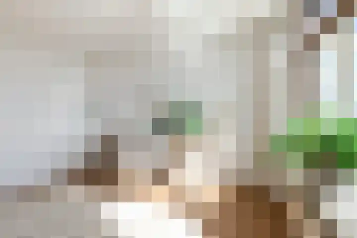 Bunchestraat 82 Reeuwijk thumbnail 16