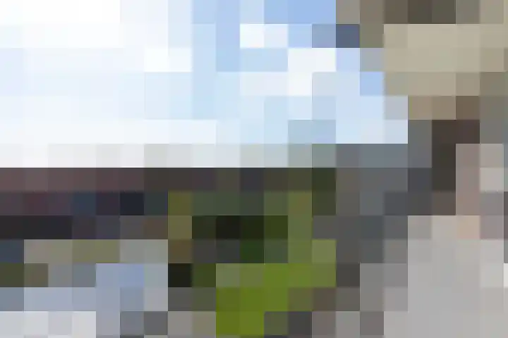 Bunchestraat 82 Reeuwijk thumbnail 28