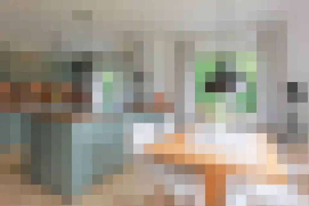 Bunde 97 Bunde thumbnail 11
