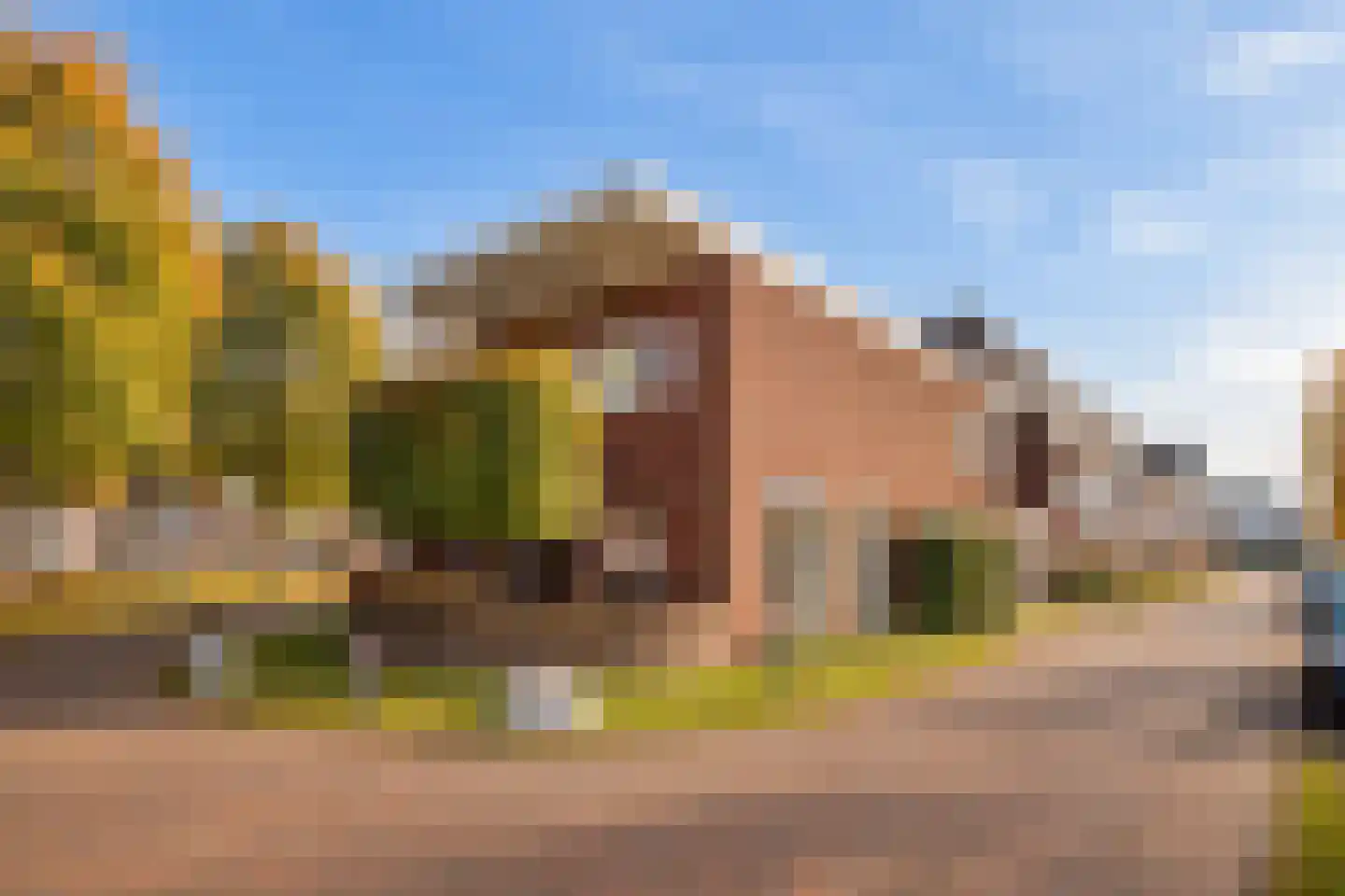Bundelzwam 27 Vleuten