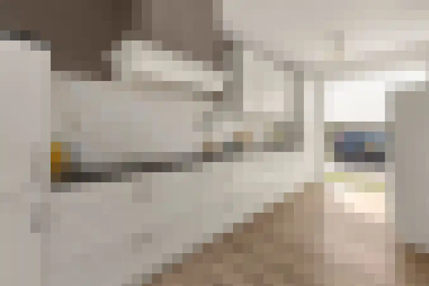 Bundelzwam 27 Vleuten thumbnail 11