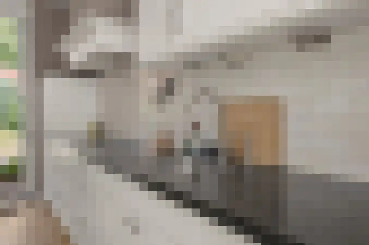 Bundelzwam 27 Vleuten thumbnail 12