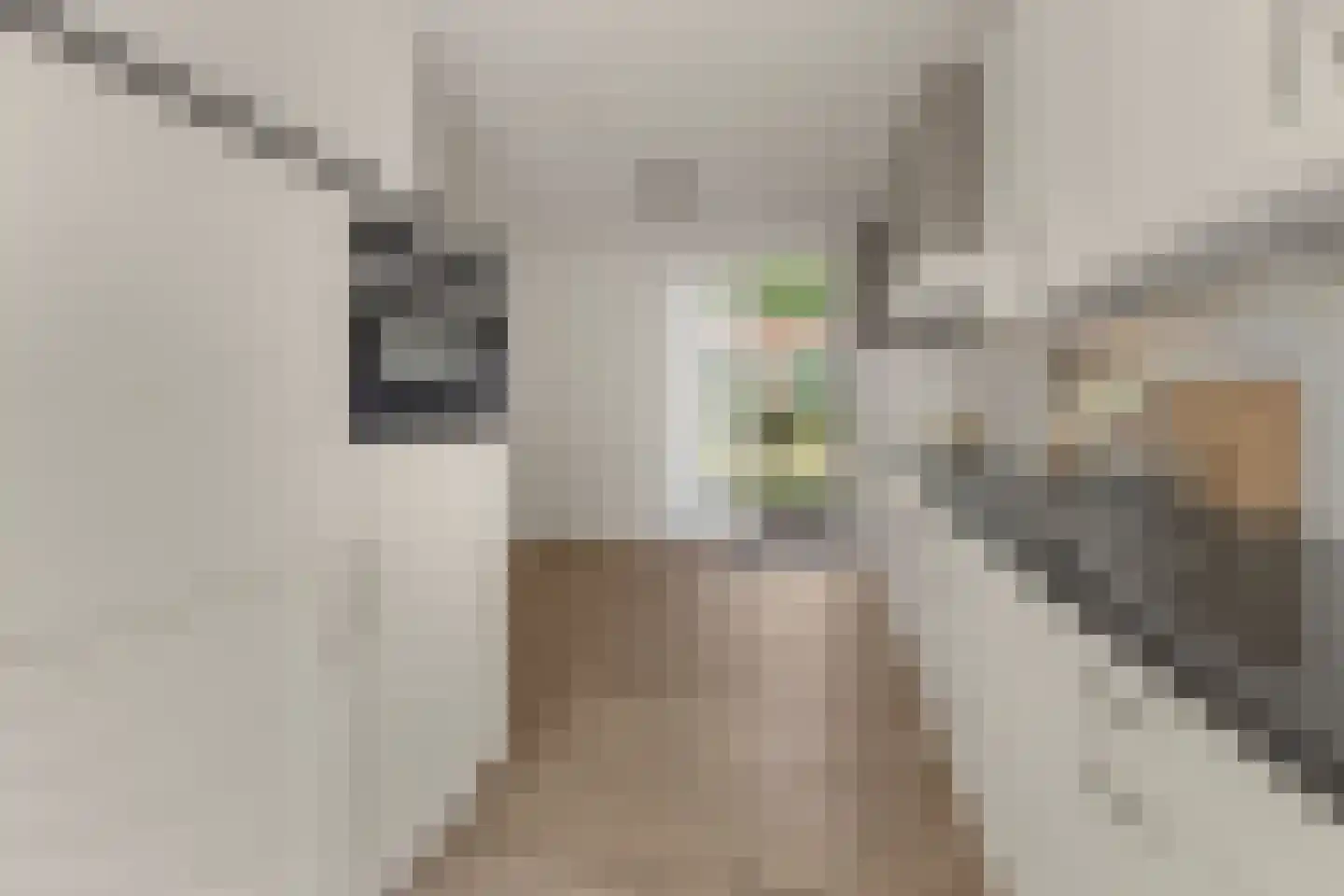 Bundelzwam 27 Vleuten thumbnail 14