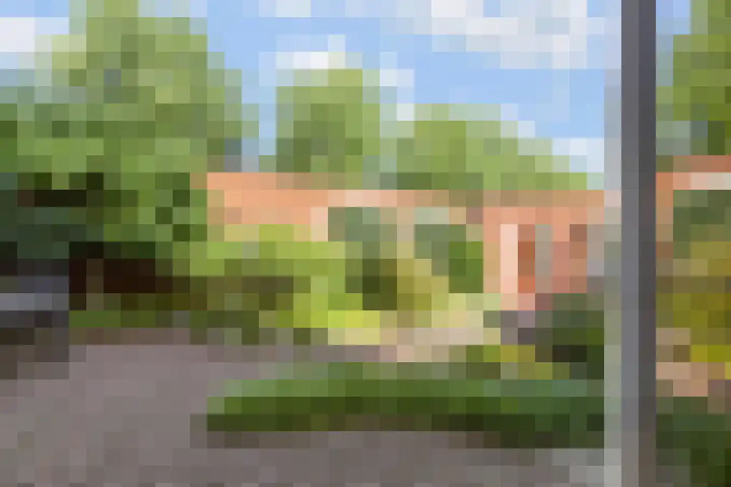 Bundelzwam 27 Vleuten thumbnail 15
