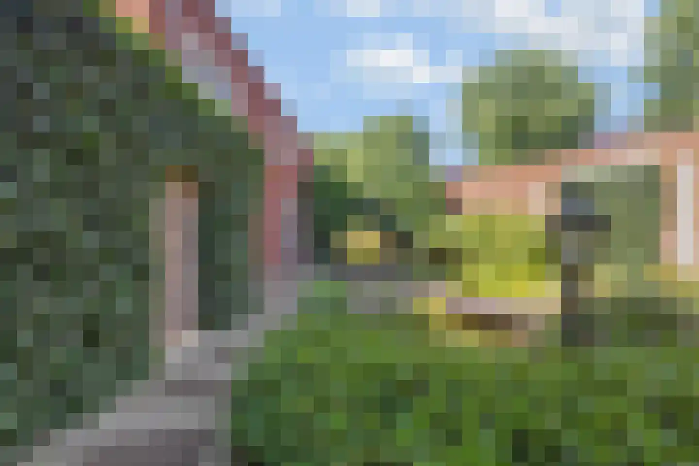 Bundelzwam 27 Vleuten thumbnail 16