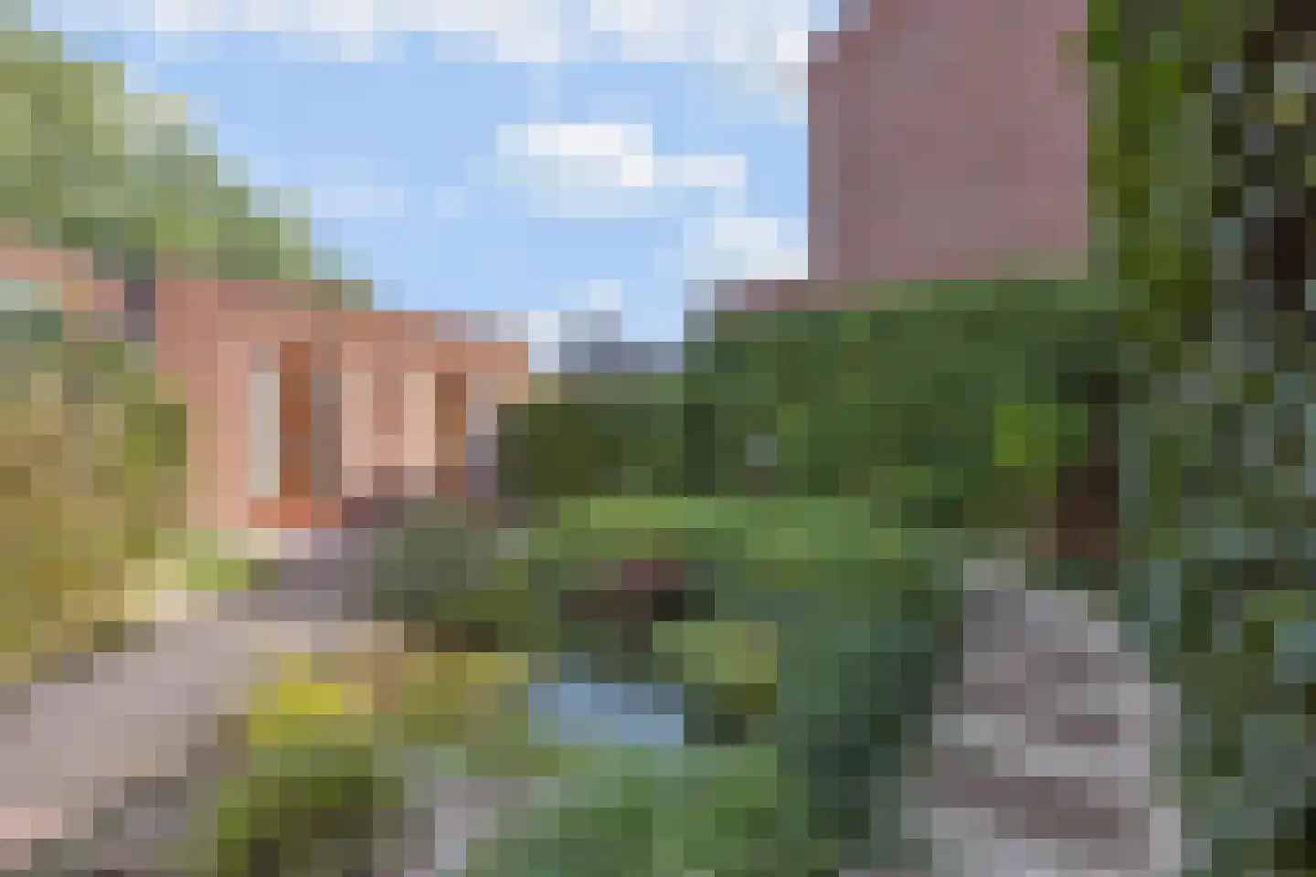 Bundelzwam 27 Vleuten thumbnail 17