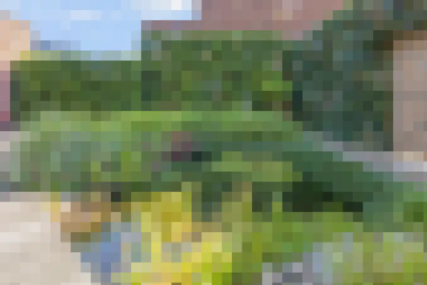Bundelzwam 27 Vleuten thumbnail 18