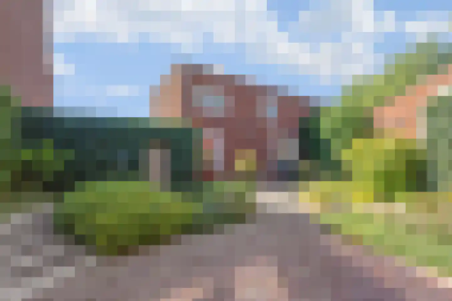 Bundelzwam 27 Vleuten thumbnail 19