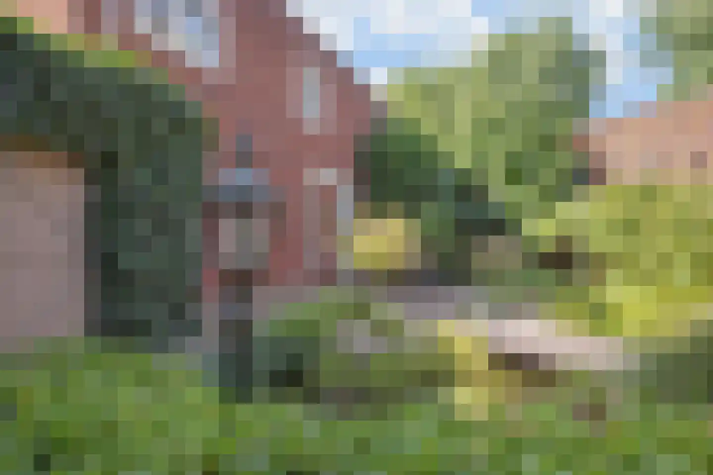 Bundelzwam 27 Vleuten thumbnail 21