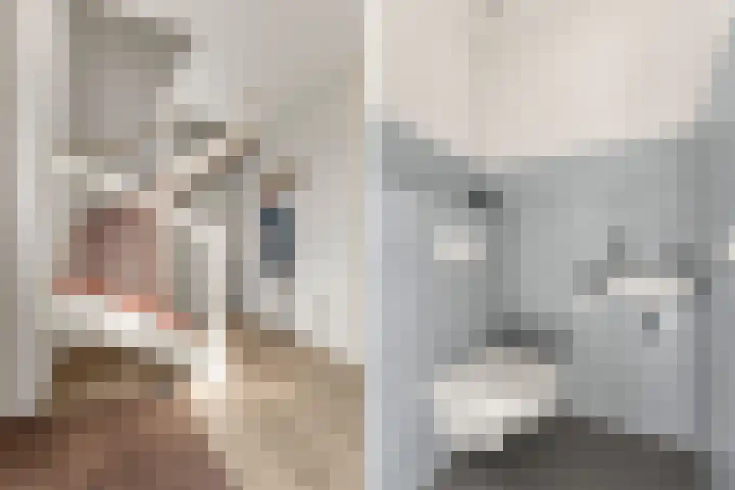 Bundelzwam 27 Vleuten thumbnail 26