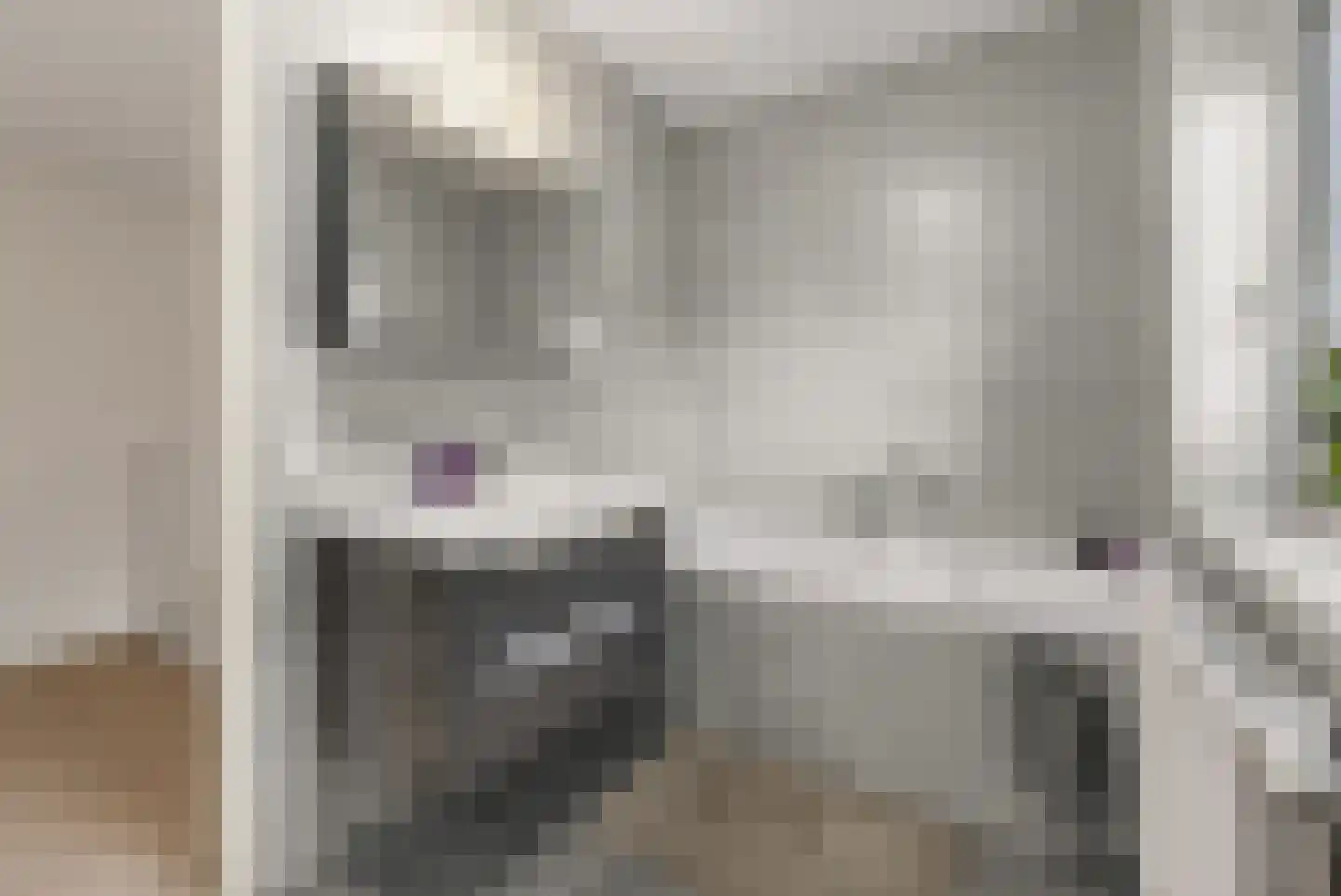 Bundelzwam 27 Vleuten thumbnail 35