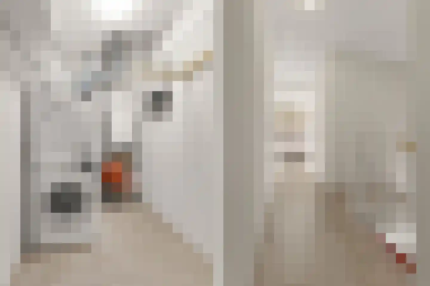 Bundelzwam 27 Vleuten thumbnail 38