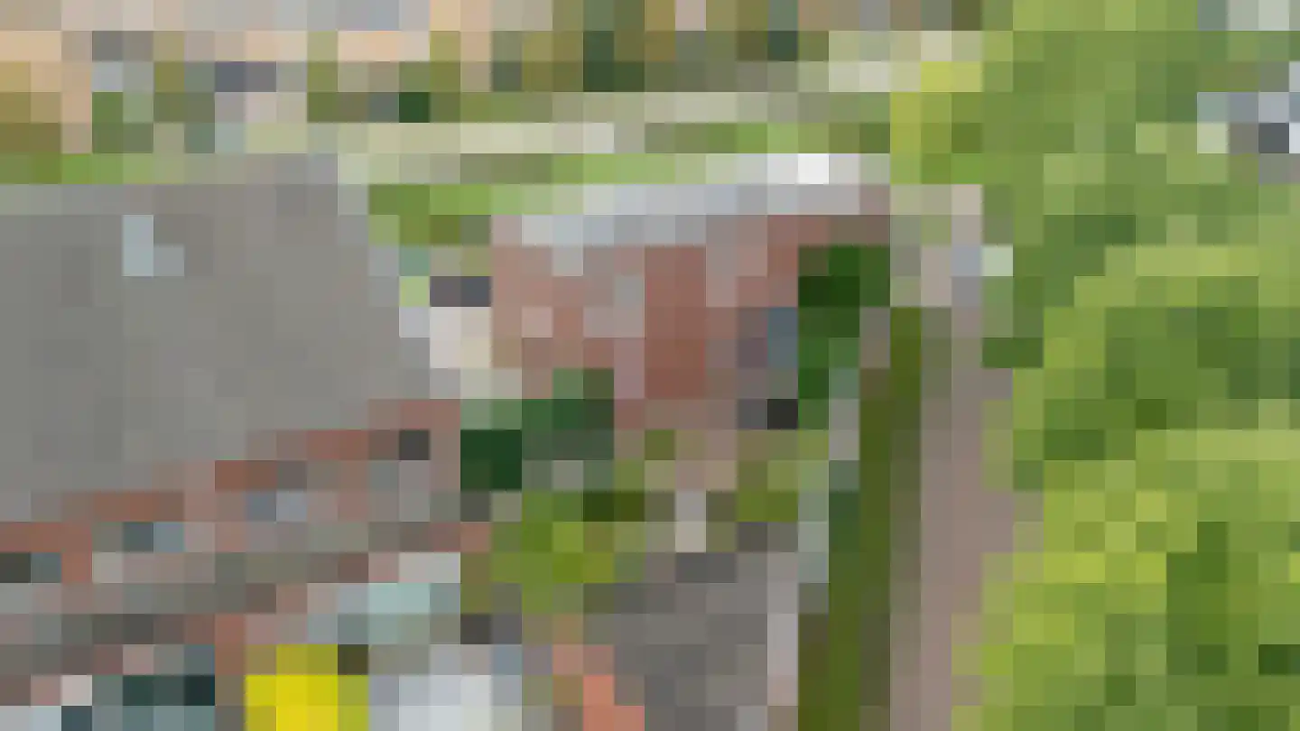 Bundelzwam 27 Vleuten thumbnail 39