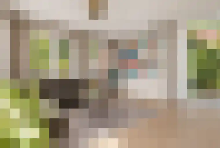 Bundelzwam 27 Vleuten thumbnail 4