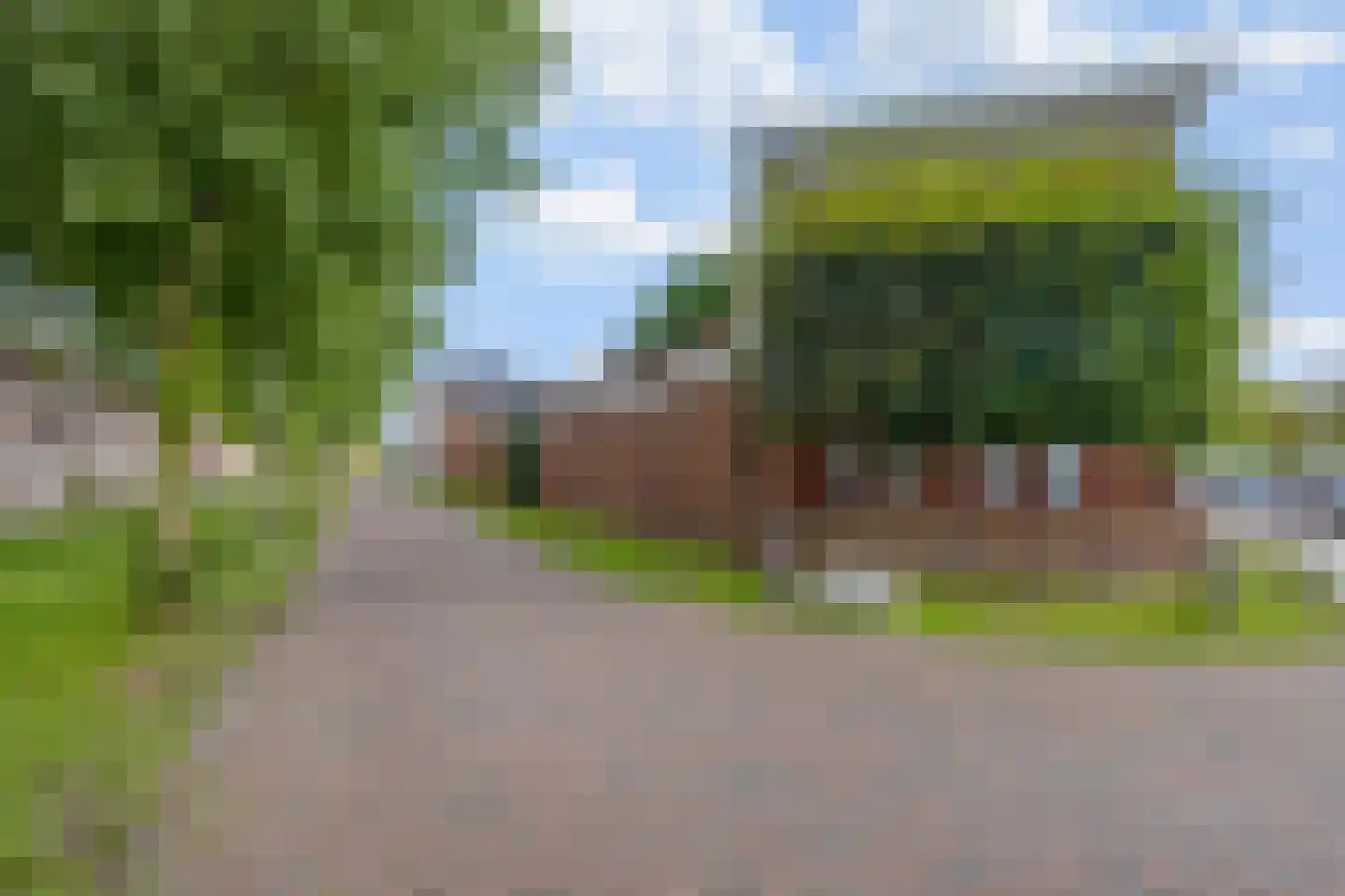 Bundelzwam 27 Vleuten thumbnail 43