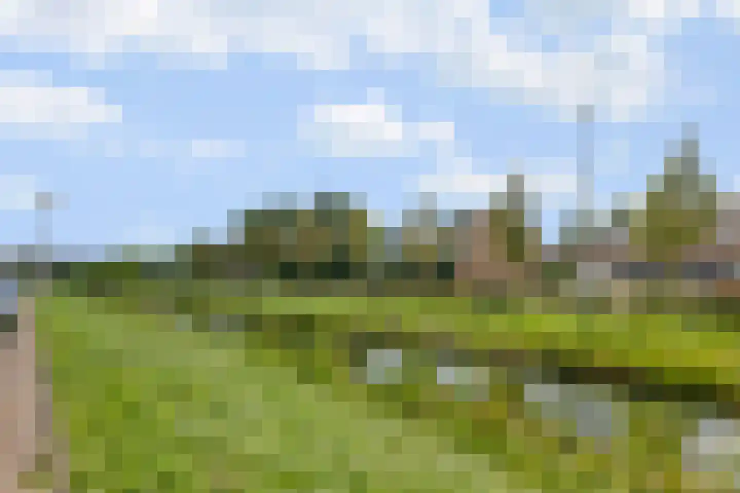 Bundelzwam 27 Vleuten thumbnail 44