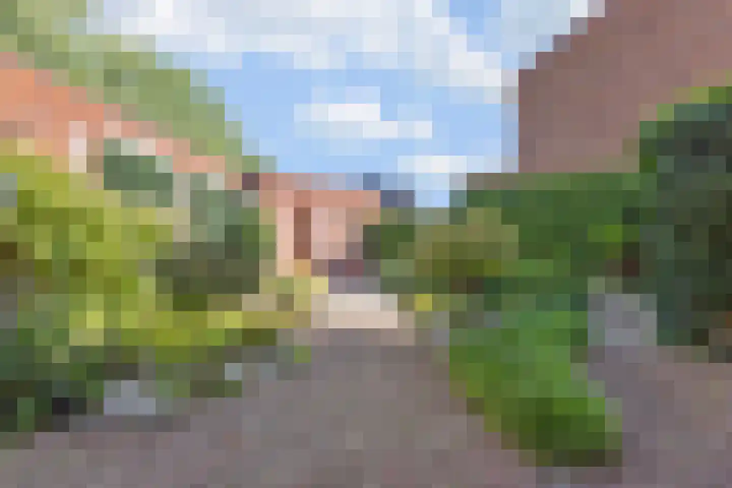 Bundelzwam 27 Vleuten thumbnail 5