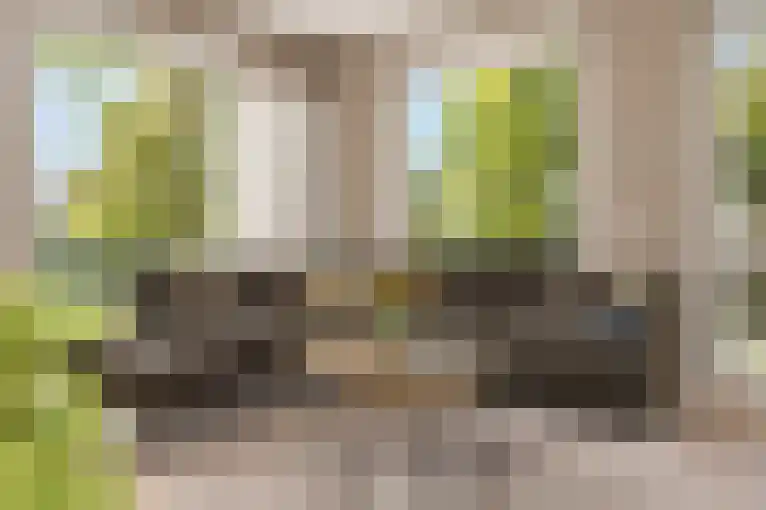 Bundelzwam 27 Vleuten thumbnail 6