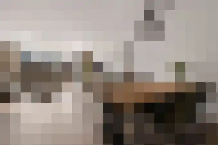 Bundelzwam 28 Vleuten thumbnail 10