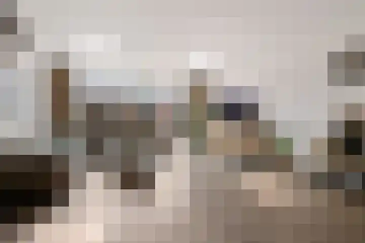 Bundelzwam 28 Vleuten thumbnail 11