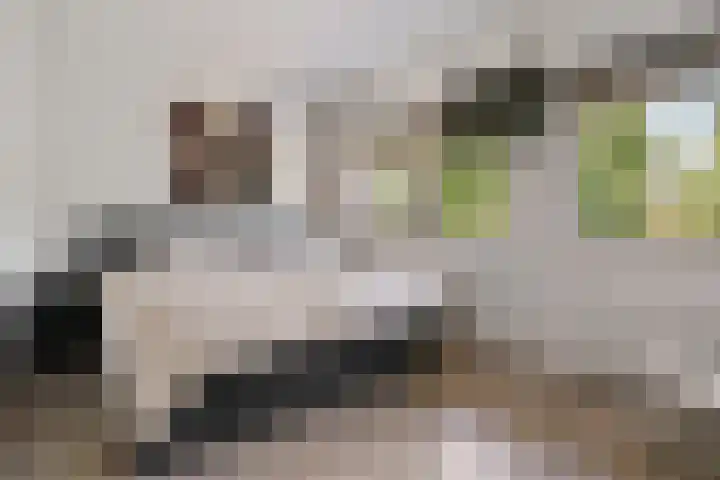 Bundelzwam 28 Vleuten thumbnail 12