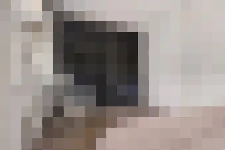 Bundelzwam 28 Vleuten thumbnail 13