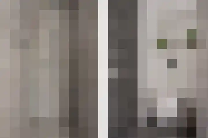 Bundelzwam 28 Vleuten thumbnail 16