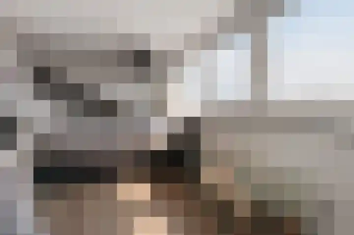 Bundelzwam 28 Vleuten thumbnail 20